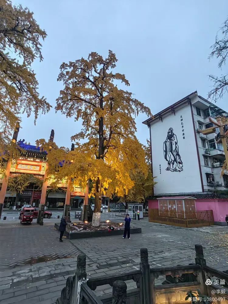 温江文庙是温江区活动中心